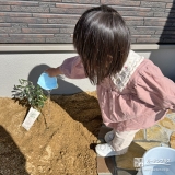 記念樹オリーブに水やりをする様子