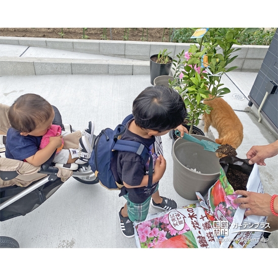 記念樹植樹の様子