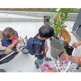記念樹植樹の様子