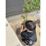 記念樹ジューンベリーの植樹の様子