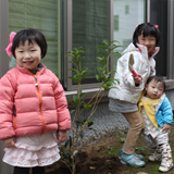 埼玉県さいたま市北区キンモクセイと月桂樹（ローリエ）とビワの植樹風景