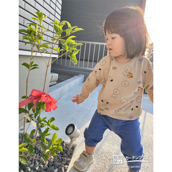 四季咲きモクセイと記念撮影③