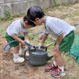 記念樹に水やりをする様子