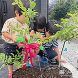 記念樹ブルーベリーの植樹の様子②