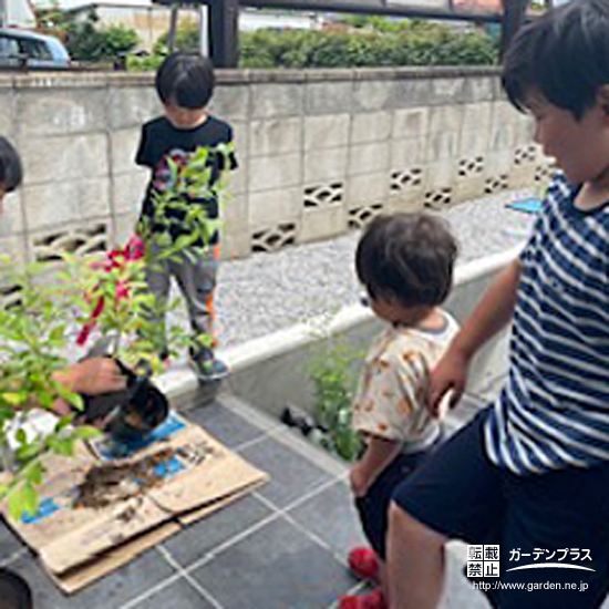 記念樹ブルーベリーの植樹の様子③