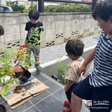 記念樹ブルーベリーの植樹の様子③