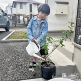 記念樹ライラックに水やりをする様子