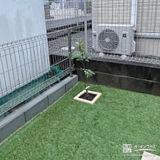 記念樹としてお届けしたレモン