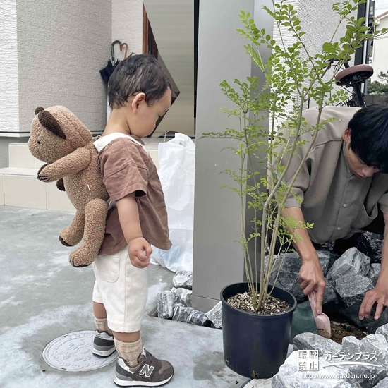 シマトネリコと記念撮影②