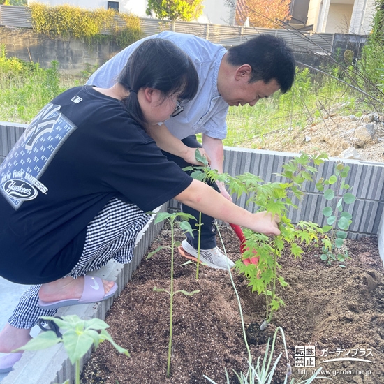 記念樹もみじ（カエデ）の植樹の様子