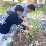 記念樹もみじ（カエデ）の植樹の様子