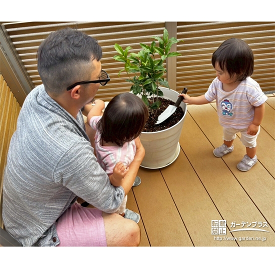 記念樹キンモクセイの植樹の様子②