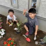 記念樹オリーブの植樹の様子