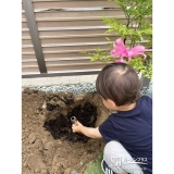 記念樹ナンテンの植樹の様子