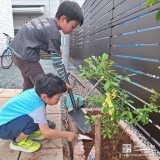 記念樹ブルーベリーの植樹の様子