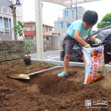 記念樹温州ミカンの植樹の様子②