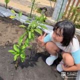 温州ミカンと記念撮影