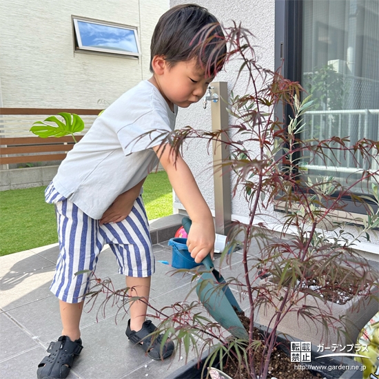 記念樹もみじ（カエデ）の植樹の様子
