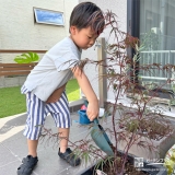 記念樹もみじ（カエデ）の植樹の様子