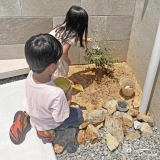 記念樹コデマリの植樹の様子