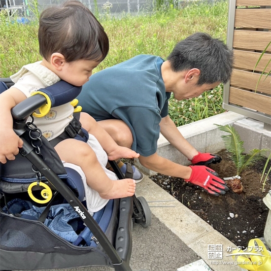 記念樹ソテツの植樹の様子