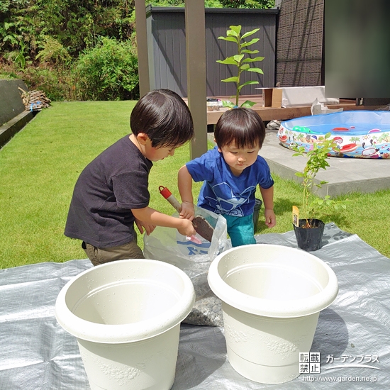 記念樹ブルーベリーの植樹の様子
