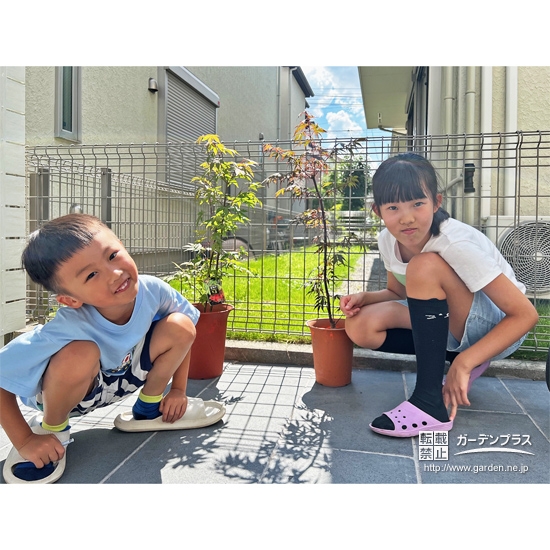 もみじ（カエデ）と記念撮影①