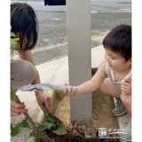 記念樹ジューンベリーの植樹の様子