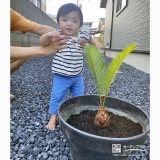 ソテツと記念撮影①