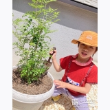 記念樹シマトネリコの植樹の様子