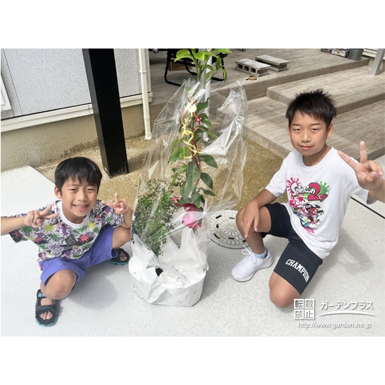 レモン・シマトネリコと記念撮影②
