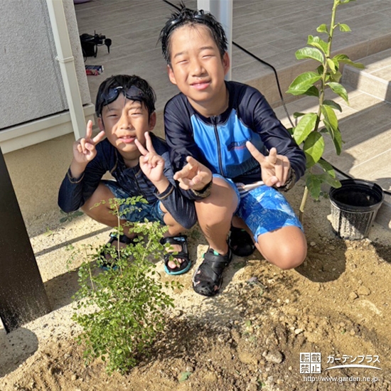 記念樹レモン・シマトネリコの植樹の様子①