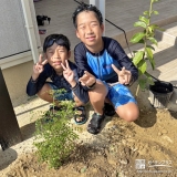 記念樹レモン・シマトネリコの植樹の様子①