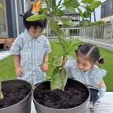 記念樹温州ミカンの植樹の様子