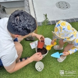 記念樹ソテツの植樹の様子②