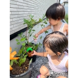 記念樹ブルーベリーに水やりをする様子