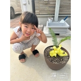 ソテツと記念撮影②