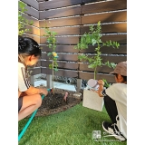 記念樹ミモザとレモンに水やりをする様子