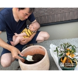 記念樹ジンチョウゲの植樹の様子