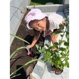 記念樹ブルーベリーの植樹の様子