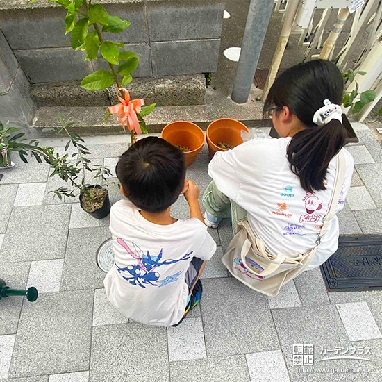 記念樹レモン・オリーブの植樹の様子