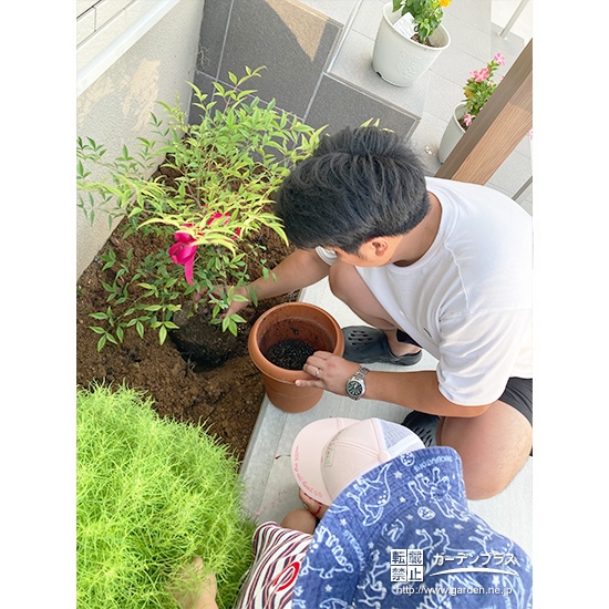 記念樹ナンテン・シマトネリコの植樹の様子