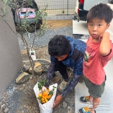記念樹バイカウツギの植樹の様子