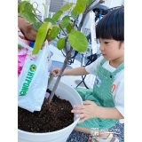 記念樹植樹の様子①