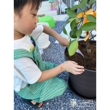 記念樹植樹の様子②