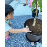 記念樹植樹の様子③
