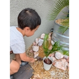 記念樹ソテツの植樹の様子