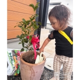 記念樹キンモクセイの植樹の様子