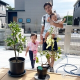 月桂樹（ローリエ）と記念撮影①
