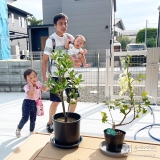 月桂樹（ローリエ）と記念撮影②